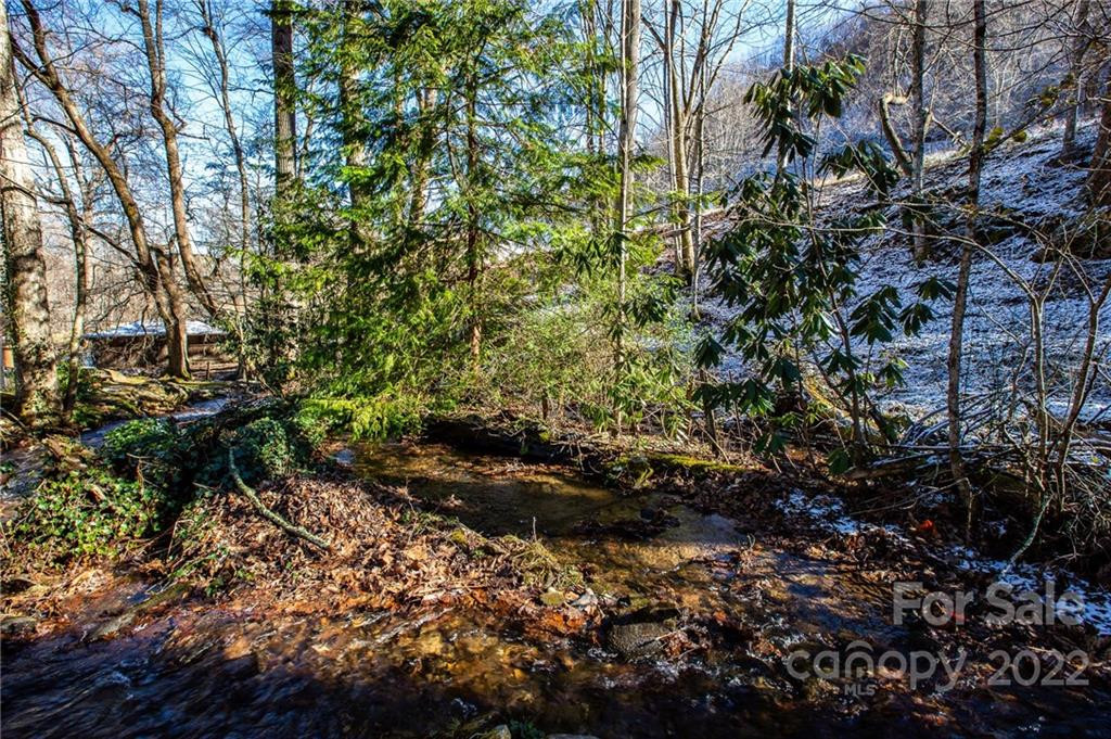 00000 Soco Road #7 - Photo 7