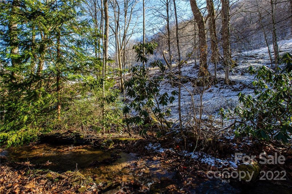 00000 Soco Road #7 - Photo 8