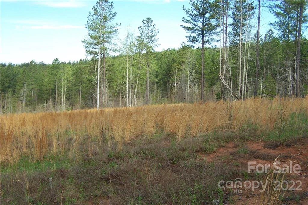 Tract 3 County Line Road - Photo 2
