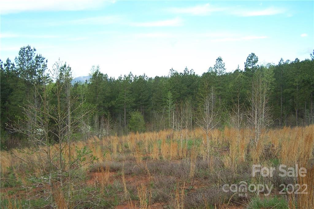 Tract 3 County Line Road - Photo 5