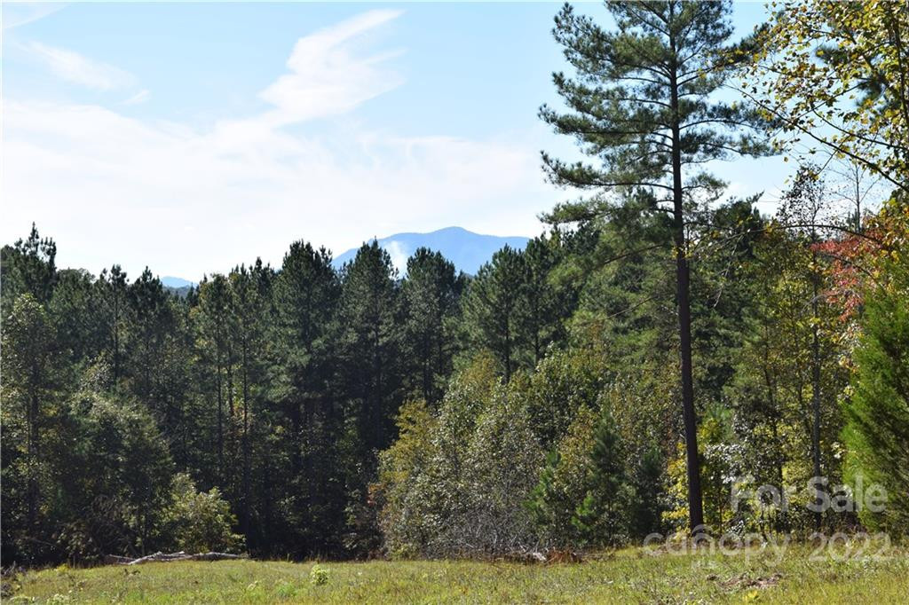 Tract 3 County Line Road - Photo 6