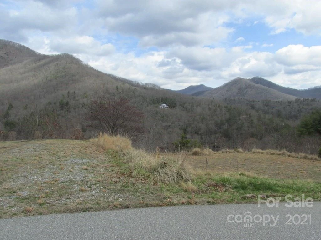 Lot 4 Wild Top Trail - Photo 3