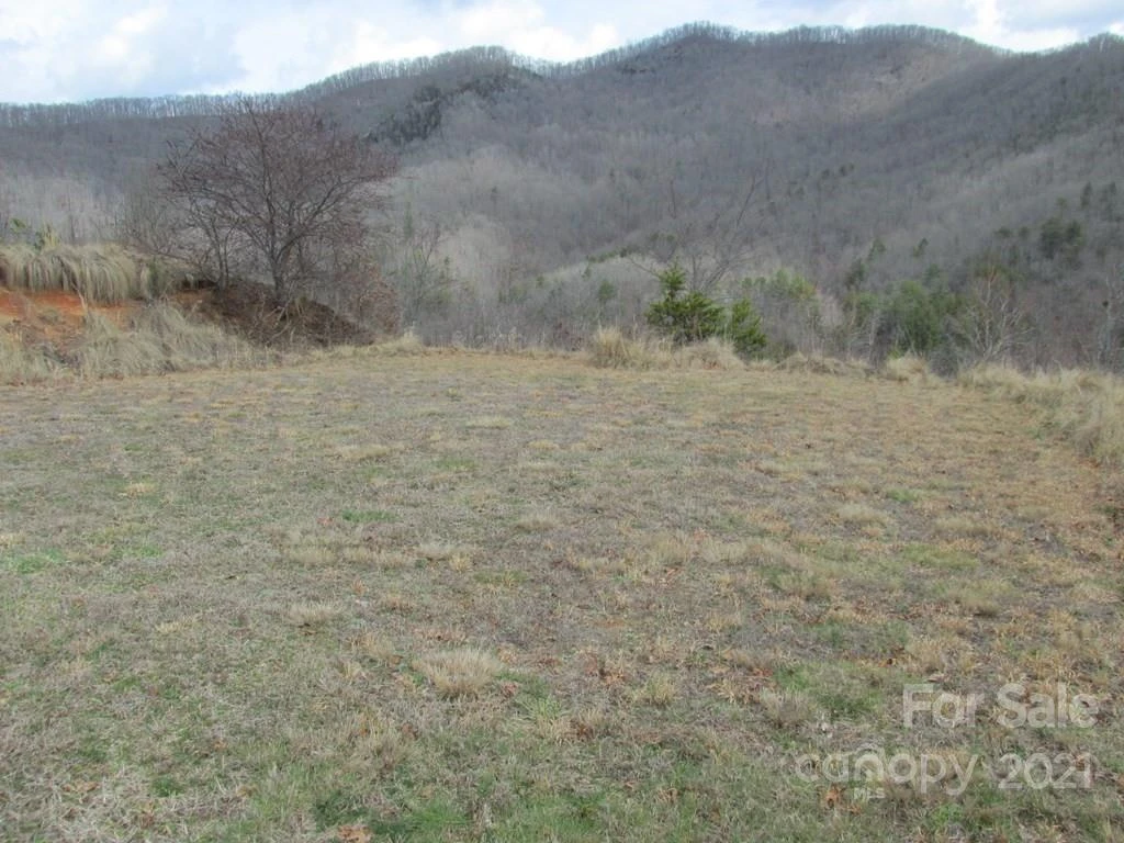 Lot 4 Wild Top Trail - Photo 4