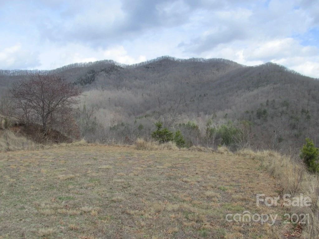Lot 4 Wild Top Trail - Photo 5