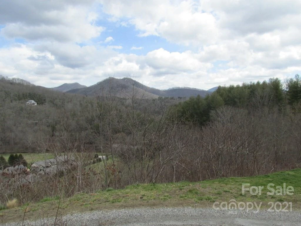 Lot 4 Wild Top Trail - Photo 6