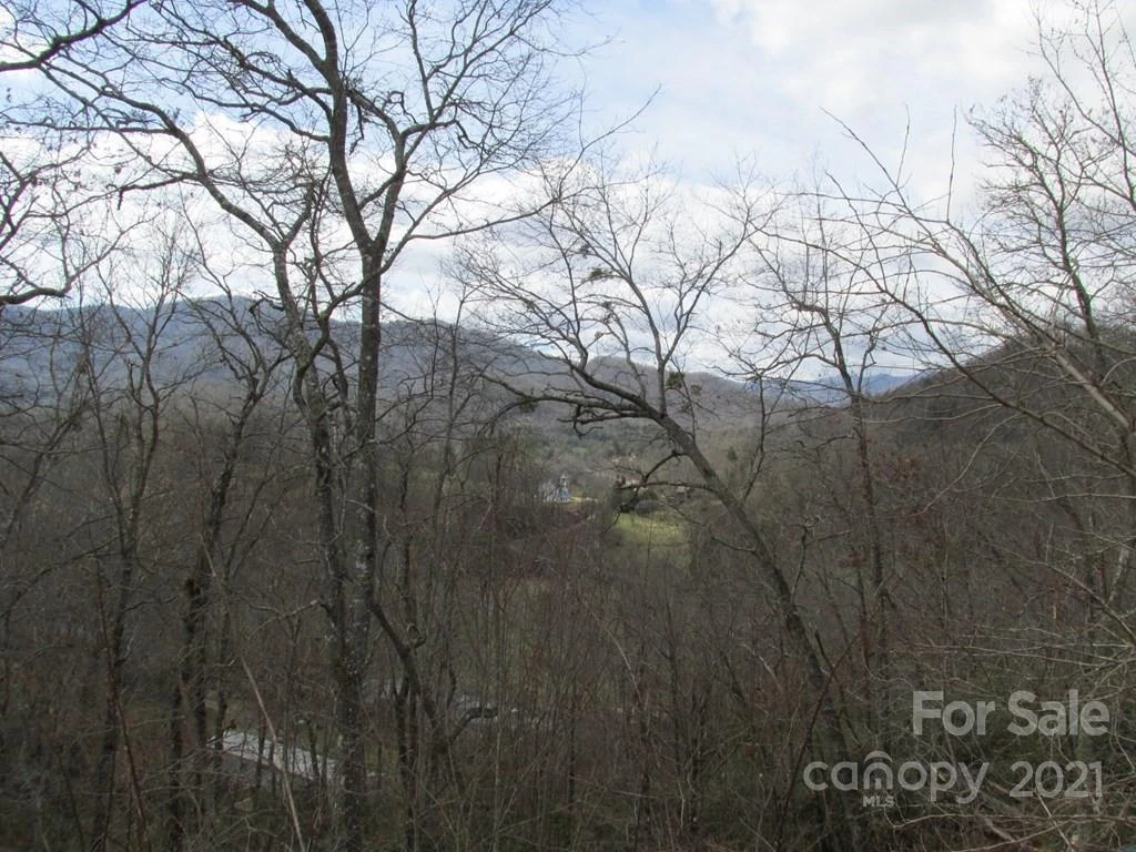 Lot 4 Wild Top Trail - Photo 7