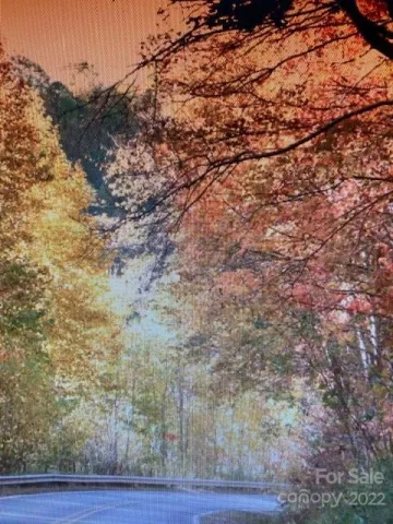00 Trillium Lane