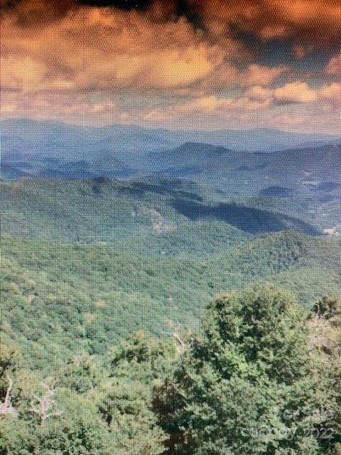 00 Trillium Lane - Photo 2