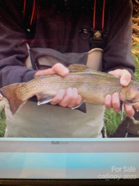 00 Trillium Lane - Photo 21