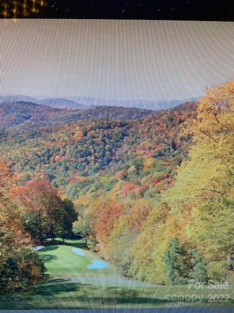 00 Trillium Lane - Photo 9