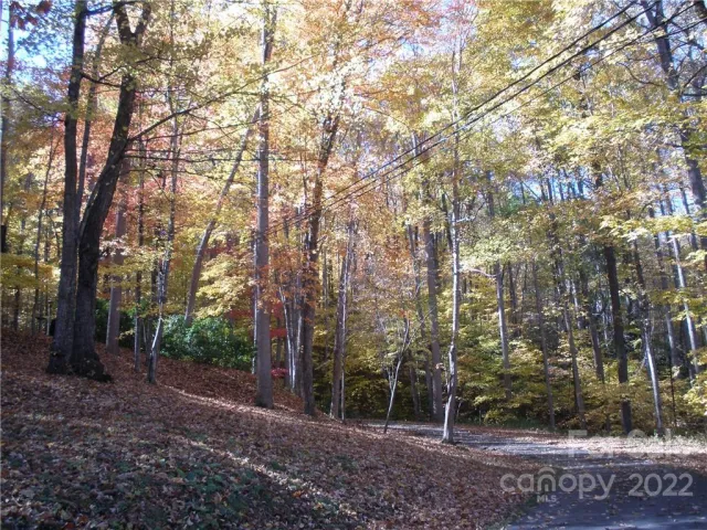 Lot 13 Dogwood Drive