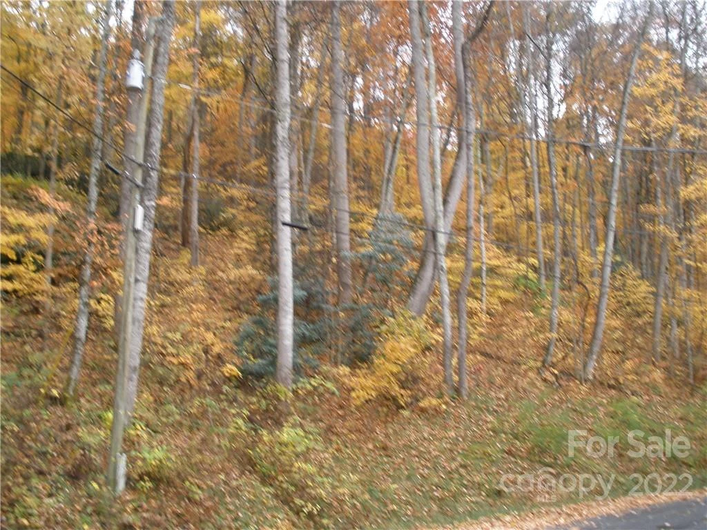 Lot 13 Dogwood Drive - Photo 2