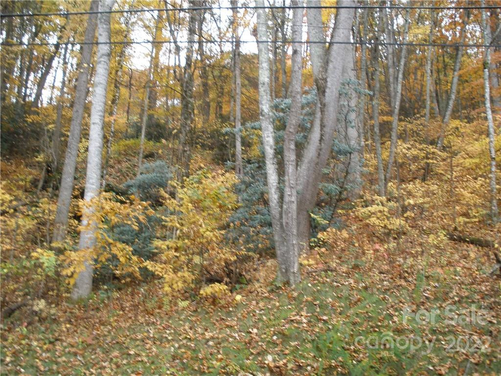 Lot 13 Dogwood Drive - Photo 3