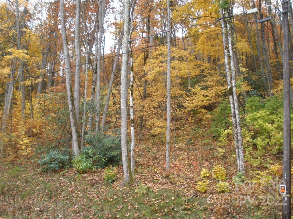 Lot 13 Dogwood Drive - Photo 4