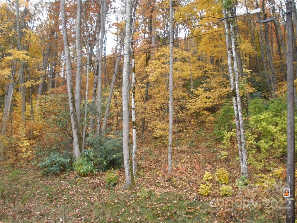 Lot 13 Dogwood Drive - Photo 4
