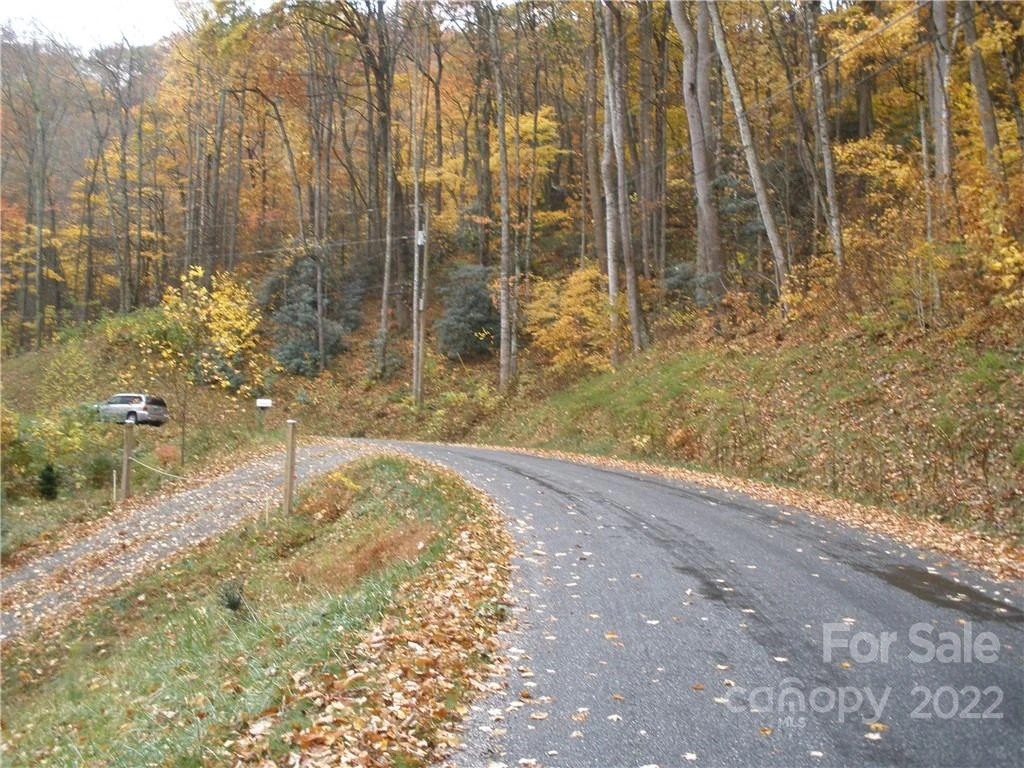 Lot 13 Dogwood Drive - Photo 5