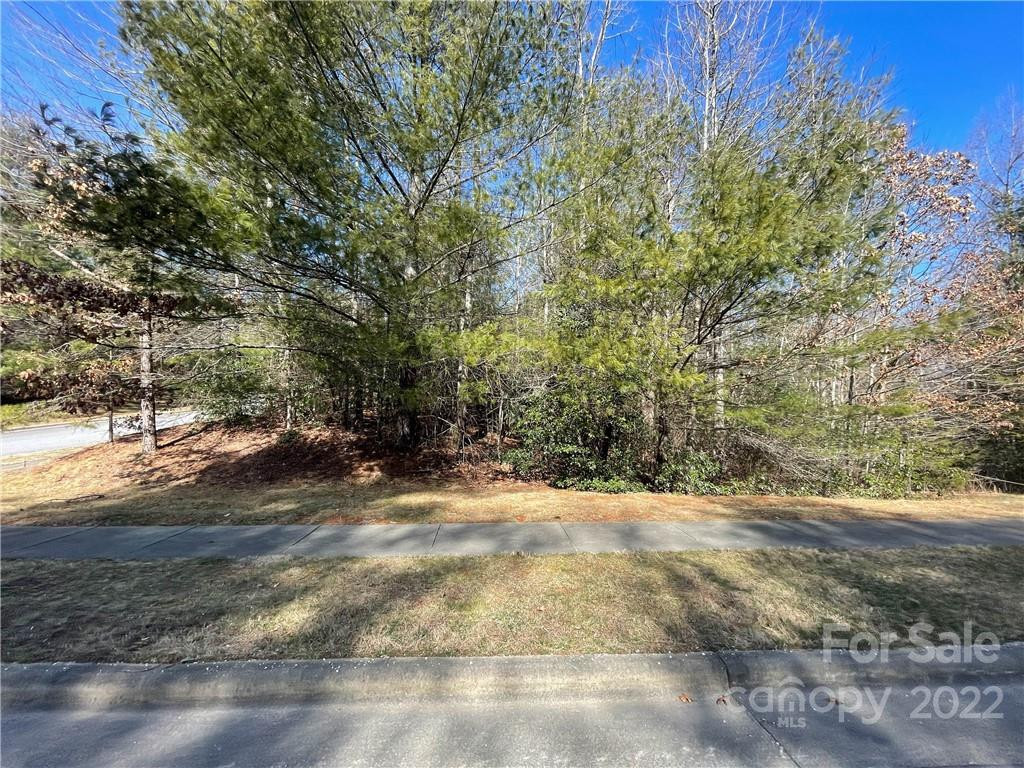 V30 Blueberry Hill Road - Photo 2