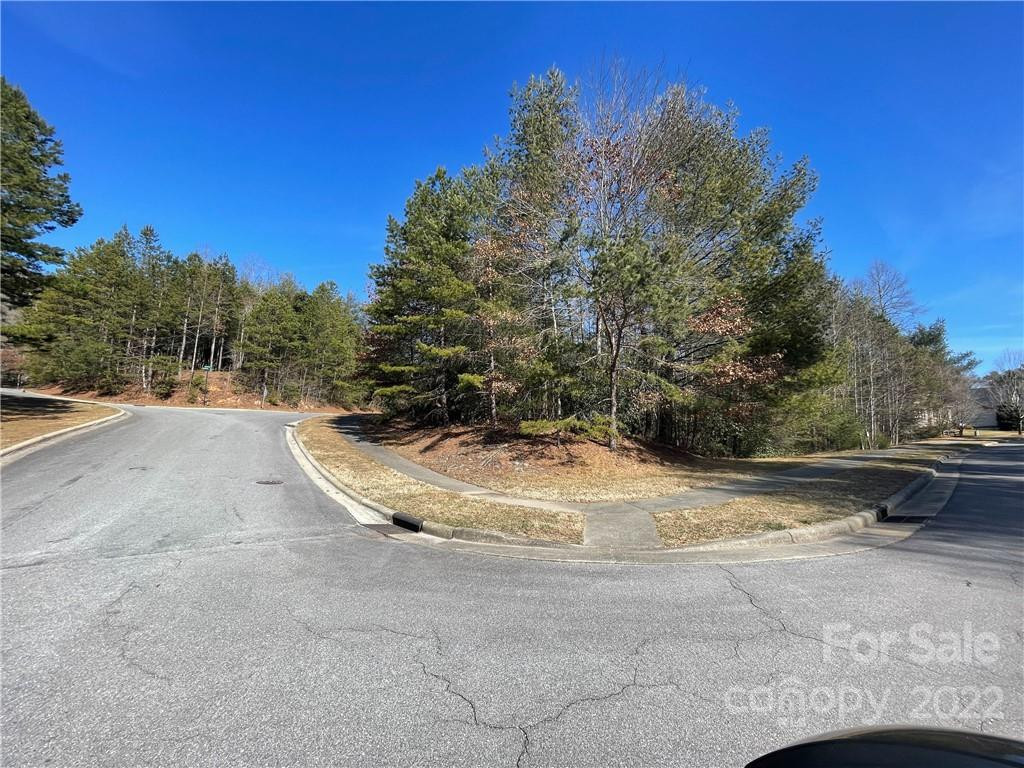 V30 Blueberry Hill Road - Photo 3