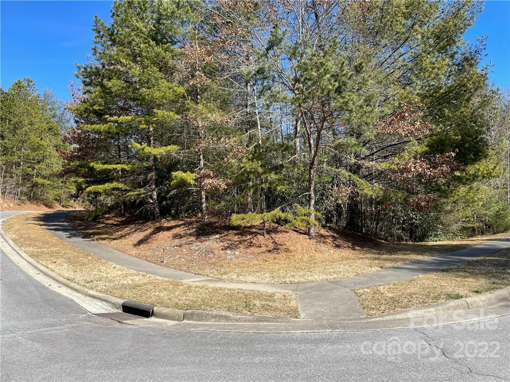 V30 Blueberry Hill Road - Photo 4