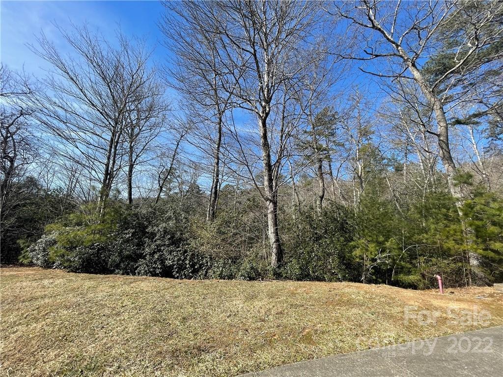 SH11 Springhouse Trail - Photo 2