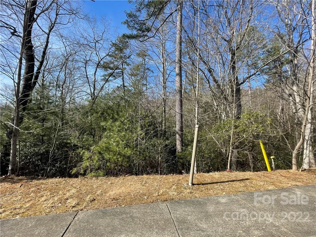 SH11 Springhouse Trail - Photo 3