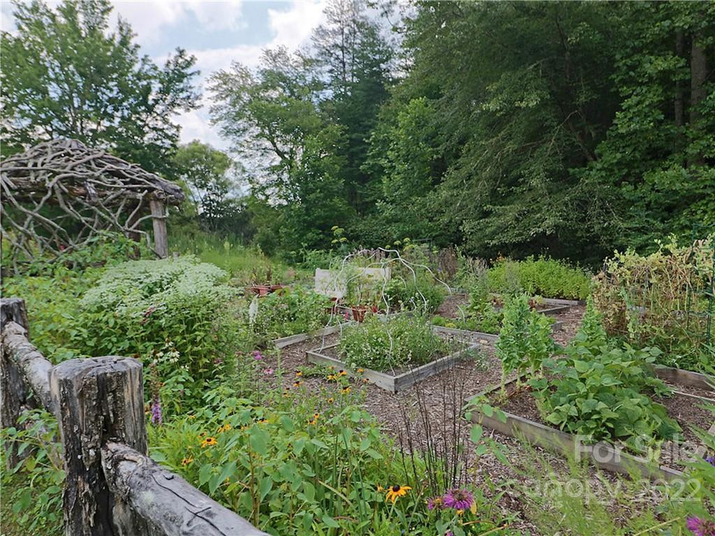 SH11 Springhouse Trail - Photo 24