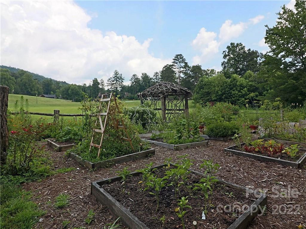 SH11 Springhouse Trail - Photo 25