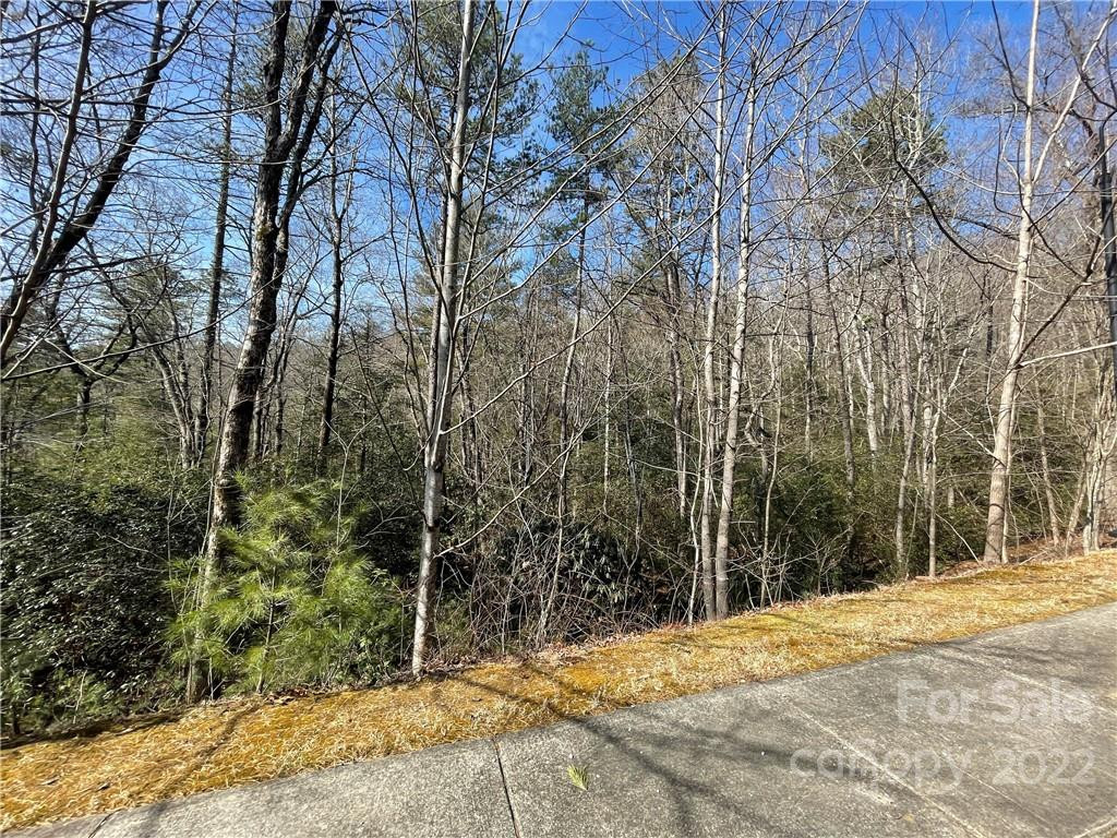 SH11 Springhouse Trail - Photo 4