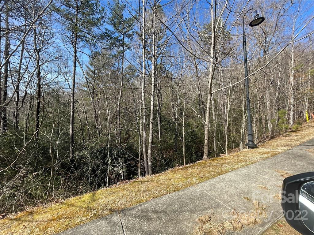 SH11 Springhouse Trail - Photo 5