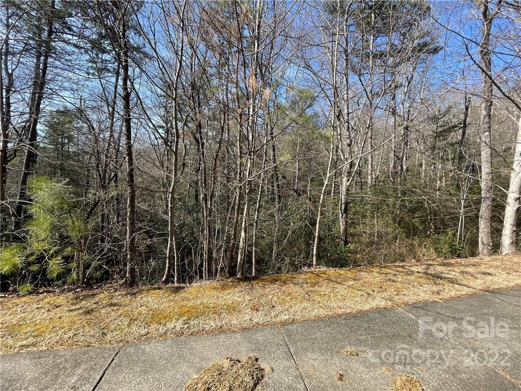 SH11 Springhouse Trail - Photo 6