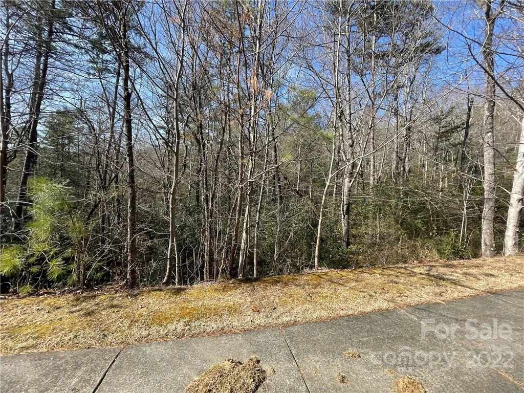 SH11 Springhouse Trail - Photo 6