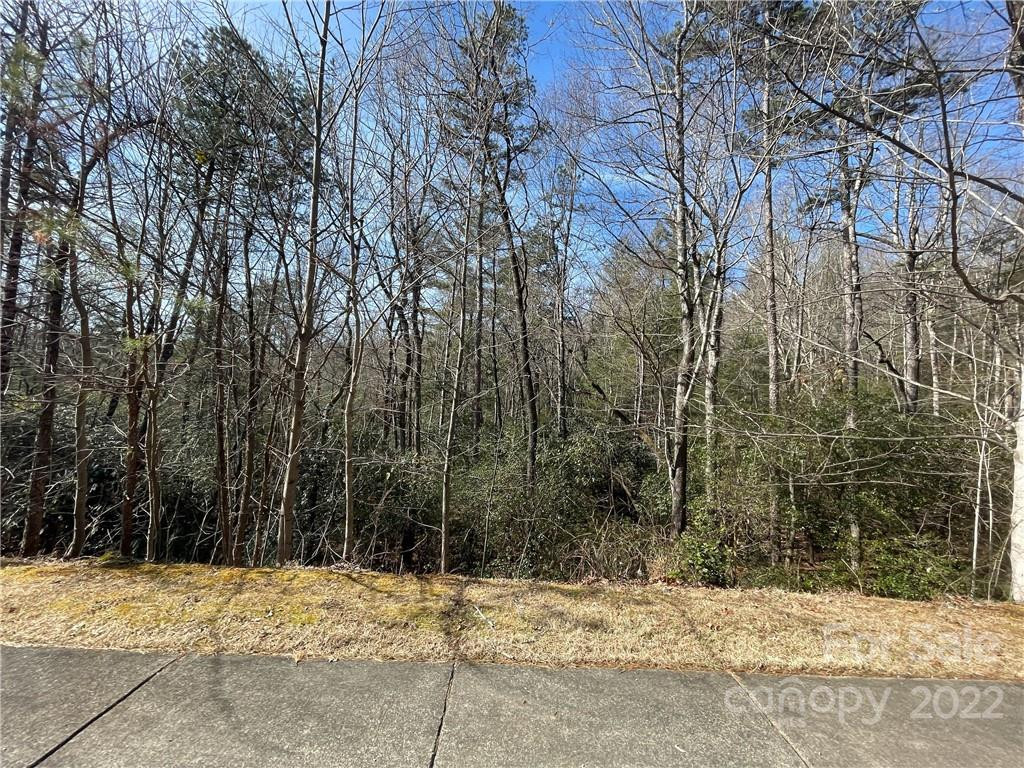 SH11 Springhouse Trail - Photo 7