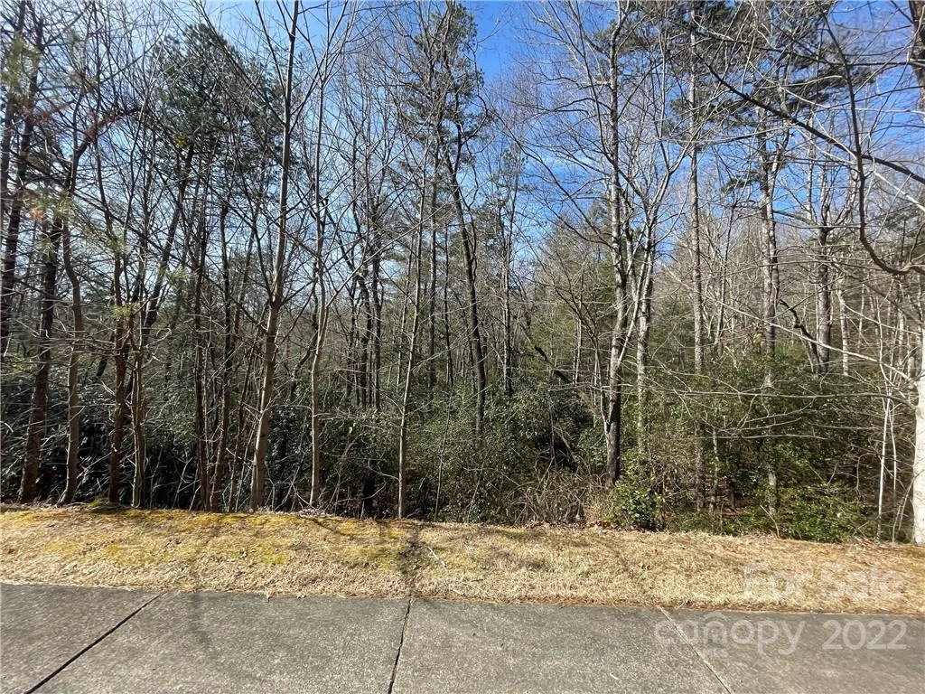 SH11 Springhouse Trail - Photo 7