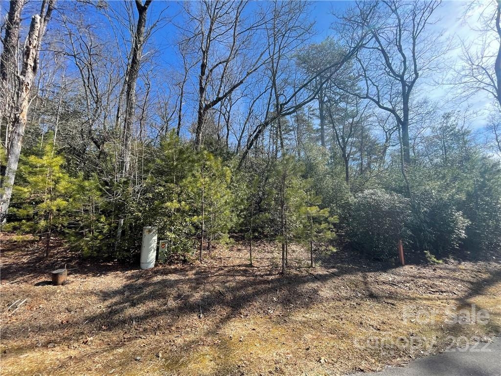 SH11 Springhouse Trail - Photo 8