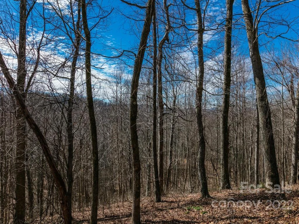 686 Crossvine Trail #4A-C - Photo 13