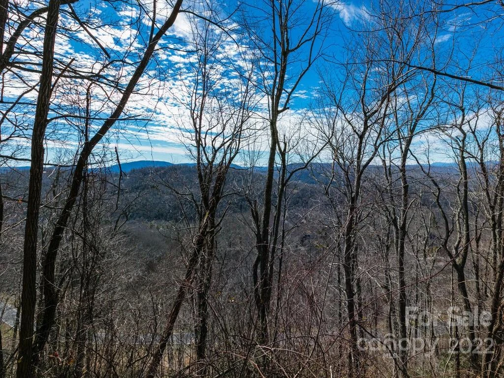 10F Red Bud Lane #10F - Photo 10