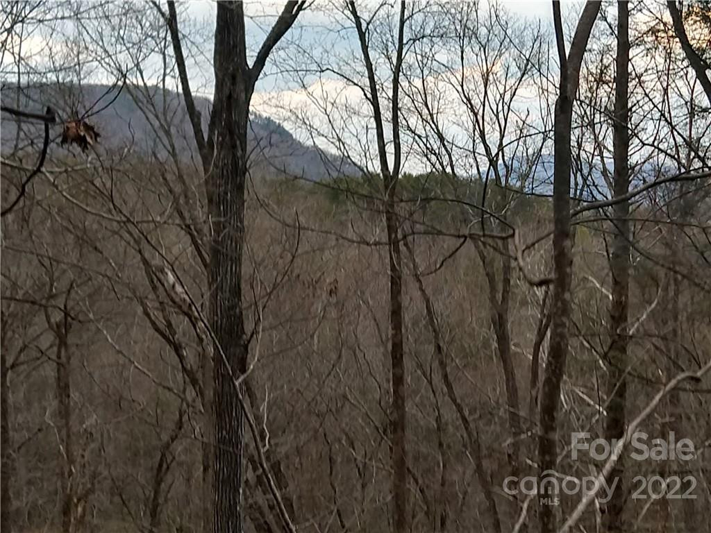 Lots 94 & 95 Rock Spring Road - Photo 3