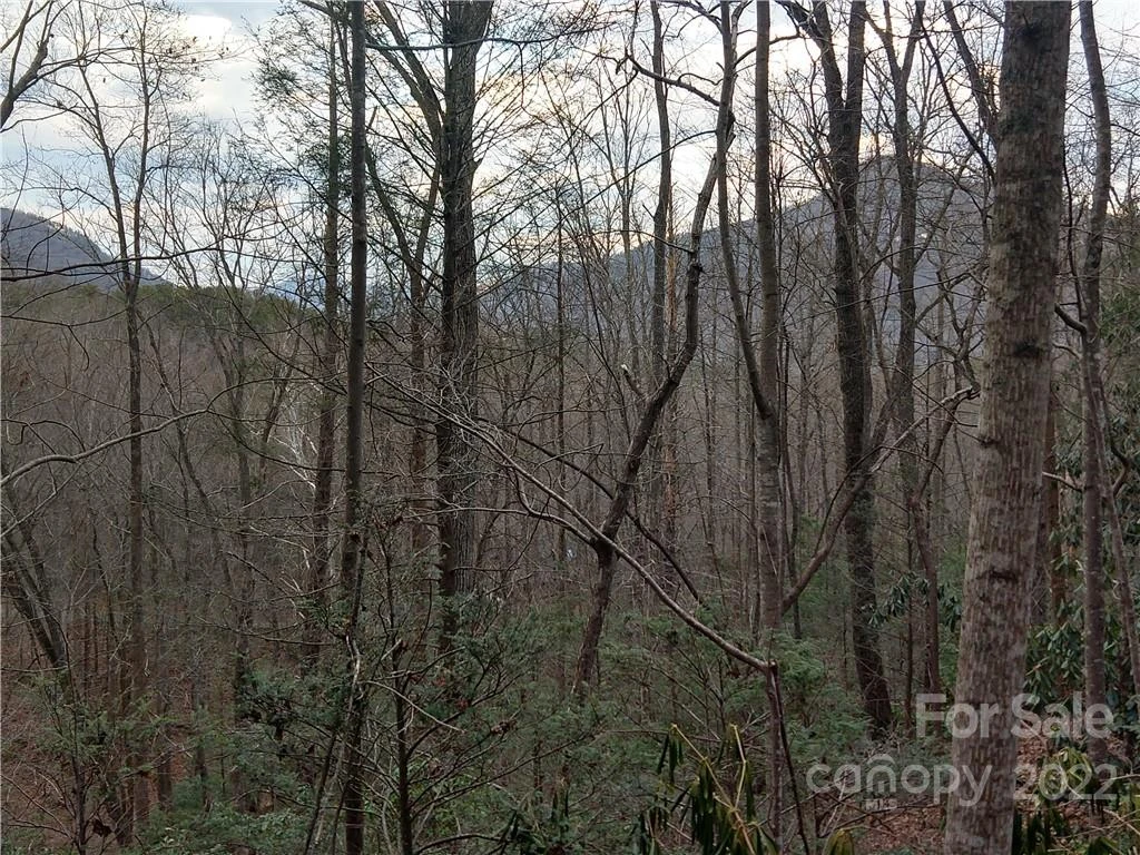 Lots 94 & 95 Rock Spring Road - Photo 5