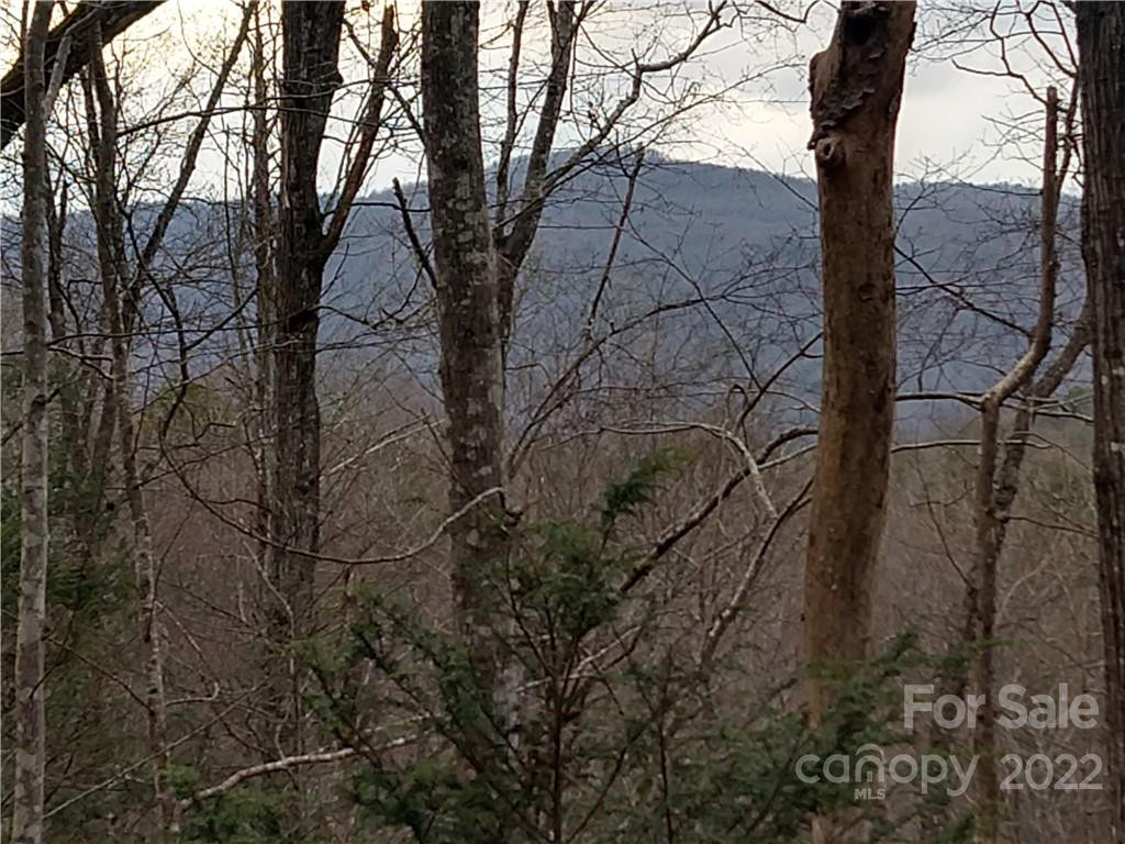 Lots 94 & 95 Rock Spring Road - Photo 7