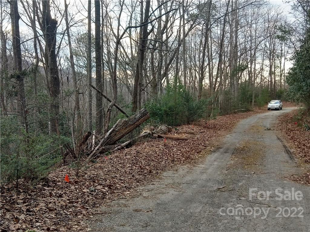 Lots 94 & 95 Rock Spring Road - Photo 8