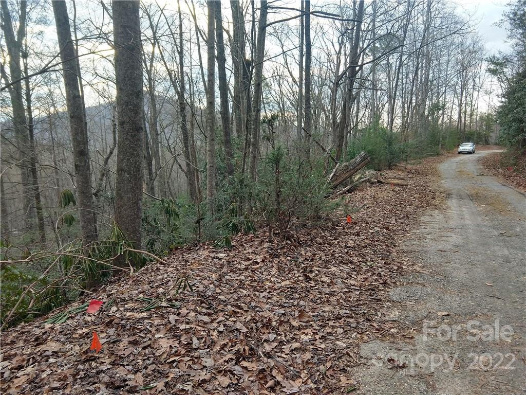 Lots 94 & 95 Rock Spring Road - Photo 9