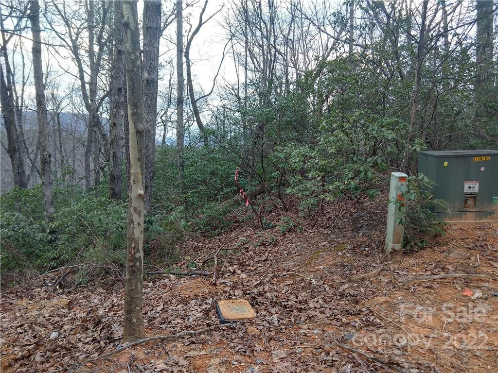 Lots 94 & 95 Rock Spring Road - Photo 10