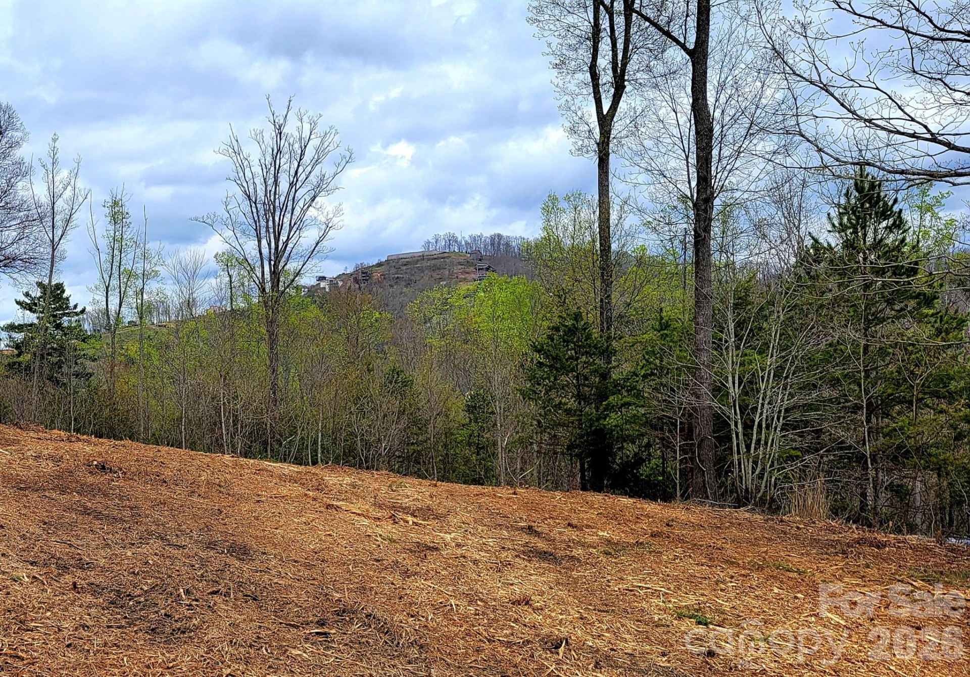 8 English Hills Drive - Photo 11