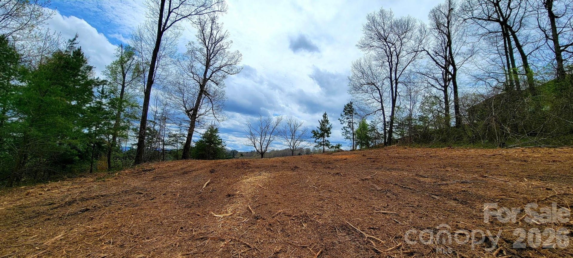 8 English Hills Drive - Photo 8