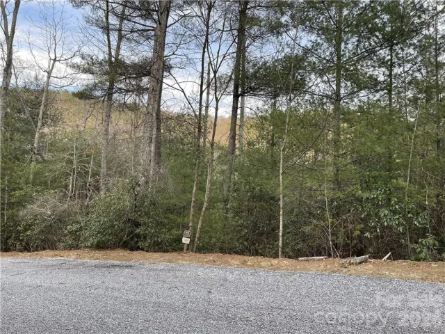 55 Boone Cove Road, Zirconia, NC, 28790