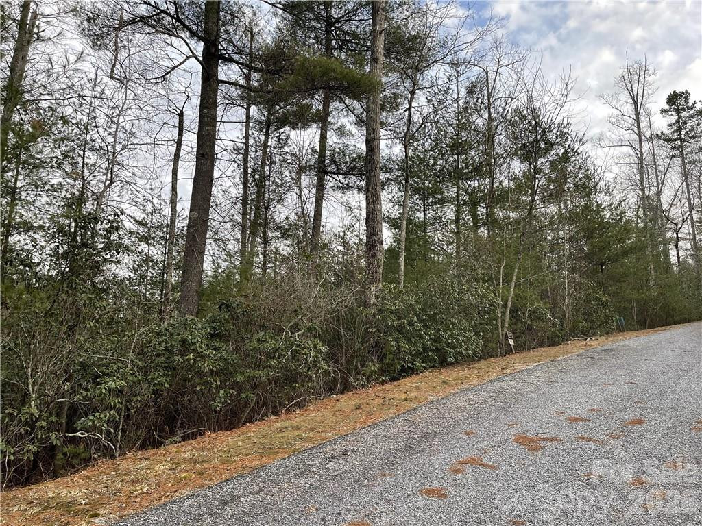 55 Boone Cove Road #71 - Photo 2