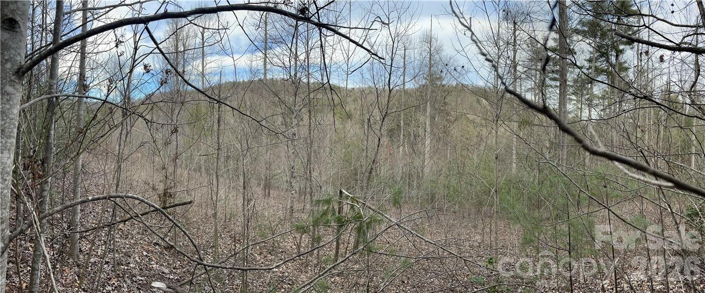 55 Boone Cove Road #71 - Photo 4