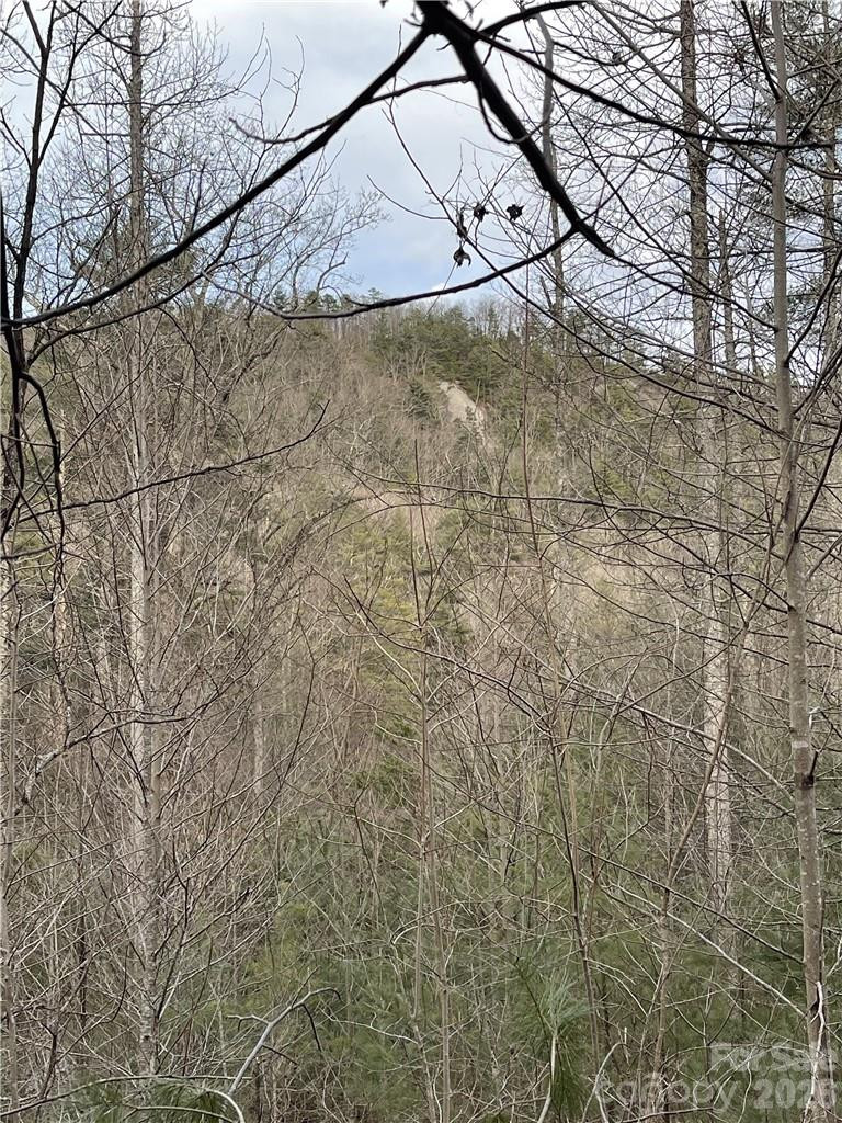 55 Boone Cove Road #71 - Photo 5