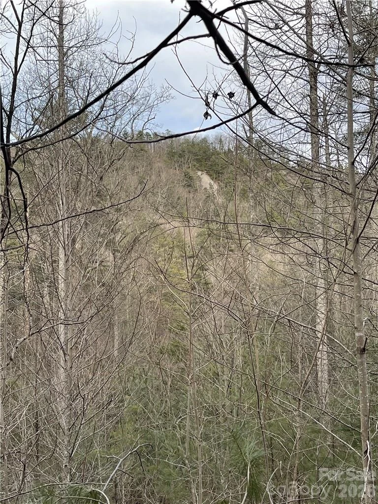 55 Boone Cove Road #71 - Photo 5