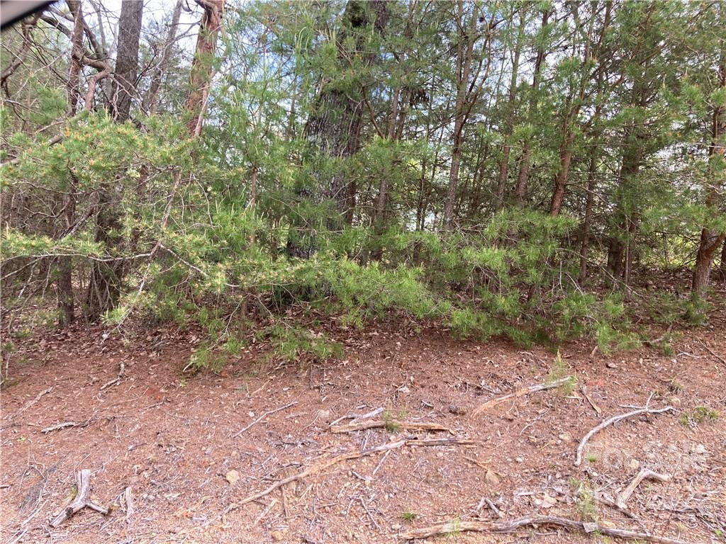 V/L Horseshoe Trail #40 - Photo 2